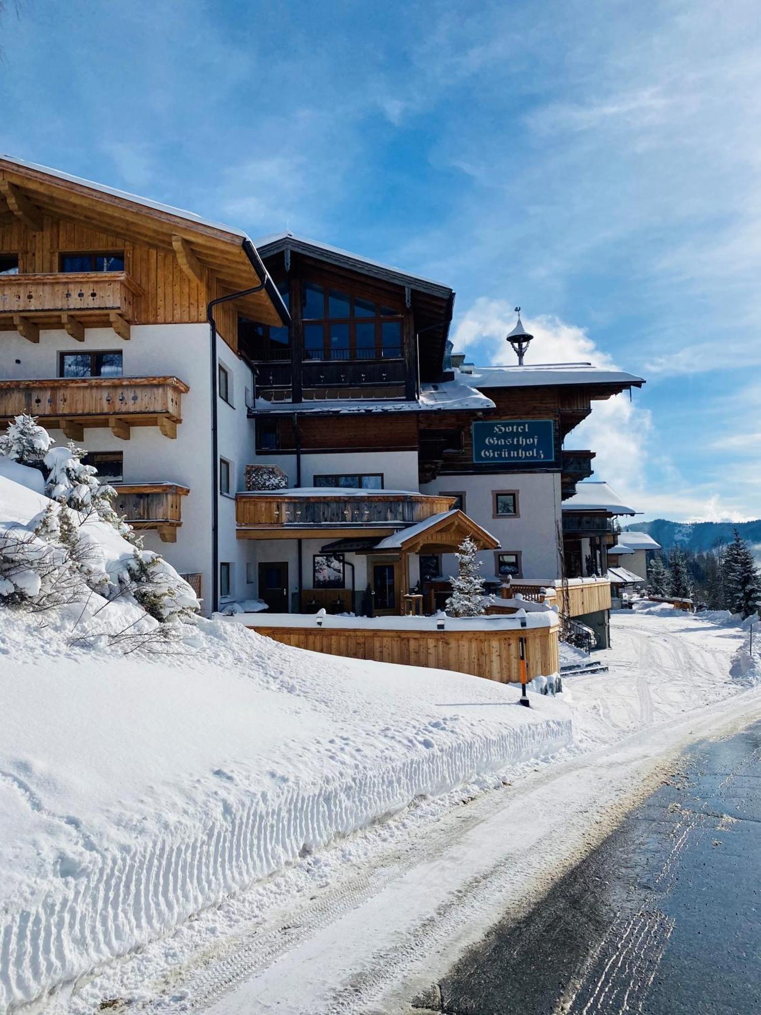 Das Gruenholz Aparthotel Mühlbach am Hochkönig Εξωτερικό φωτογραφία